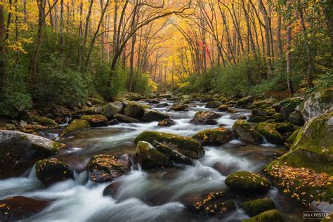 nature photoshoot|nature photography for beginners.